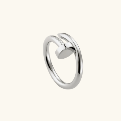 SPIJKER Ring | Goud