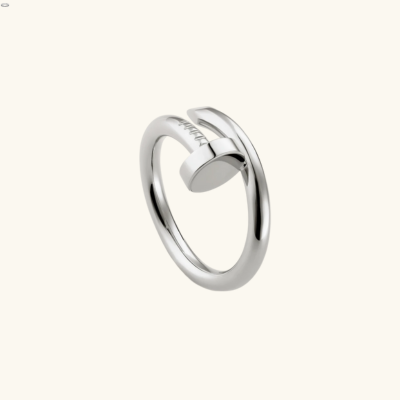 SPIJKER Ring | Zilver